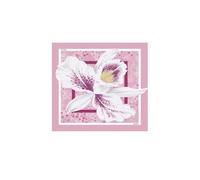 Liu Jo Tuch mit Blume T_U_, 00491