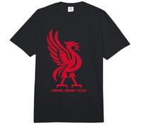 Liverpool England Est. 1207 Liverbird Tinten mit rotem Aufdruck Comfort Colors Adult Heavyweight T-Shirt