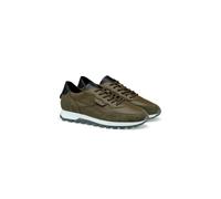 Lloyd Sneaker Damen grün, 38
