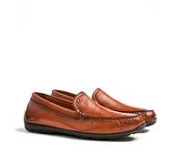 Lloyd - Emilio - 13-422-03 - Braun 45