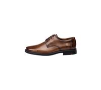 LLOYD Herren Schnürschuhe Nevio, Männer Businessschuhe,Anzugschuhe,Derby,schnürung,Office,büro,Freizeit,Schnuerschuhe,lace-up, Noce, 46.5 EU / 11.5 UK