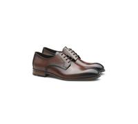 LLOYD Lifestyle - CORE PLUS 110 - Gr. - 11
