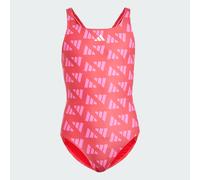 Logo Graphic V-Back Kids Badeanzug Semi Lucid Red / Lucid Pink 170