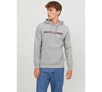 Logo Kapuzenpullover XS Grau