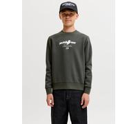 Logo Sweatshirt Boys 128 Grün