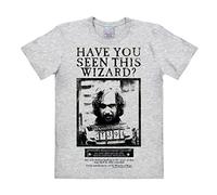 Logoshirt® Harry Potter I Sirius Black I Have You Seen This Wizard I T-Shirt Print I Damen & Herren I kurzärmlig I grau I Lizenziertes Originaldesign I Größe XXL