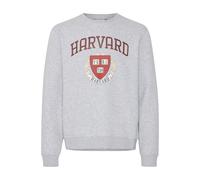 Longpullover BLEND "Sweatshirt BHSweatshirt", Herren, Gr. L, grau (stone mix), Obermaterial: 60% Baumwolle CO. 40% Polyester PES., Pullover Longpullover (44647266-L) stone mix