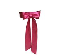 LORDRIE Hochzeit Satin Schärpe Brautgürtel für besondere Anlässe Kleider, Knallpink (Hot Pink), M