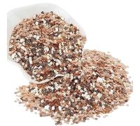 Lose holografische Pailletten zum Aufnähen, Lose PVC-Pailletten mit Loch, flach, rund, champagnerfarben, 3-30 mm, 10 g(3mm Champagne)
