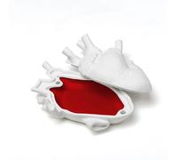 Love in a box Jewerly box Schmuckkästchen Seletti