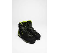 LOWA Herren Bergstiefel ALPINE PRO GTX® LE Schwarz / Limone 42 (4056264371376)
