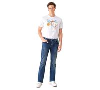 LTB Jeans Herren Jeans Bootcut Roden - Low Waist Herren Bootcut Jeans mit Knopfleiste und Stretch - Roden Blue Lapis WASH Jeanshose Blau 36W / 32L