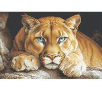 Luca-S Kreuzstich-Set Gold - Der wilde Geist, BU5081 Kreuzstich-Set nach Zählmuster für Erwachsene, Handarbeits- und Stickset