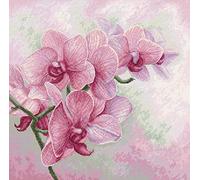 Luca-S Kreuzstich Set Graziöse Orchideen Zählmuster, Multifarbig