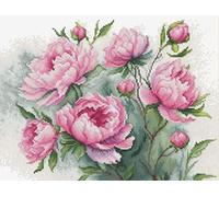 Luca-S Kreuzstich Stickpackung Der Charme der Pfingstrosen Zählmuster