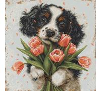 Luca-S Kreuzstich Stickpackung Der Cocker Spaniel-Welpe, Zählmuster