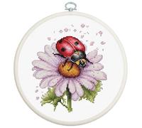 Luca-S Kreuzstich Stickpackung mit Stickrahmen Feldblume Zählmuster