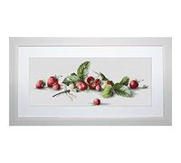 Luca-S Kreuzstichset Etüde mit Erdbeeren und Libelle Aida, Zählmuster, 49,5x18,5cm