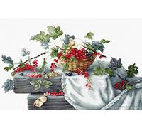 Luca-S Rote Johannisbeeren II Kreuzstichset, Baumwolle, Mehrfarbig, 39,5x23,5cm