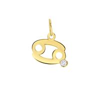 Lucardi Anhänger 9 carat - Steinbock Krebs Damen