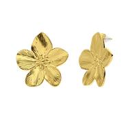 Lucardi - Ohrringe Stahl - Gelbgold 1 ct Damen