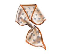 LumiSyne Seidenschal Damen Skinny Schal Einfacher Durchziehen Design Französische Vintage Stil Schmaler Lange Halstuch Leicht Satin Kleine Schal Dekorative Kopfschmuck Stirnbänder Haarband Ribbon