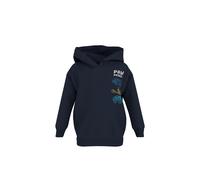 Lupilu® Kleinkinder Sweathoodie / Sweatpullover »Paw Patrol / Der Dino Film« (Navy, 98/104)