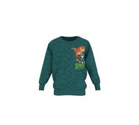 Lupilu® Kleinkinder Sweathoodie / Sweatpullover »Paw Patrol / Der Dino Film« (Petrol, 110/116)