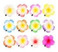 Lurrose 12 Stück Haarspangen mit Frangipani Blume Hawaiianische Plumeria Haarclips Farbige Sommer Haarschmuck für Dünnes Haar Clips mit Clipverschluss für Party und Alltag