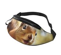 Lustige Eichhörnchen-Bauchtasche für Männer und Frauen, modische Hüfttasche, Reise-Crossbody-Tasche mit verstellbarem Gurt, überall Gürteltasche, wasserdichte Brusttasche, Radsporttasche, Geldbörse