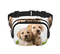 Lustige Gürteltasche mit Labrador-Motiv, klein, modisch, leicht, für Damen und Herren, Laufen, Workout, Wandern, Reisen