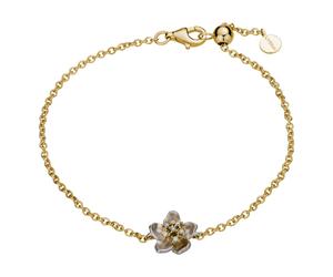 Lyomi 17,5cm Damen