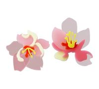 Machify Blumen-Ohrclips, Acryl, transparent, Damen-Schmuck-Geschenke
