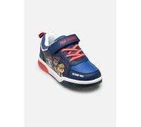 MADE BY - Baskets lumière Pat Patrouille - Blau - Sneaker - Größe 25