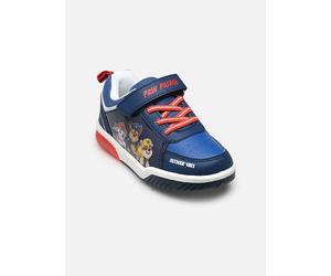 MADE BY - Baskets lumière Pat Patrouille - Blau - Sneaker - Größe 25
