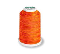 Madeira Aerolock 125 Overlockgarn Multicolor 1200m Farbe 9506 (0,40 € pro 100 m) Farbe:Farbe 9506