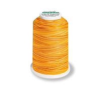 Madeira Aerolock 125 Overlockgarn Multicolor 1200m Farbe 9507 (0,40 € pro 100 m) Farbe:Farbe 9507