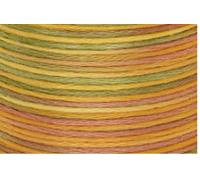 Madeira Cotona No. 4, multi, 100 m Fb.2411 (7,99 € pro 100 m) Farbe:Farbe 2411