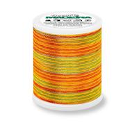 Madeira Decora 6 Viskosegarn multicolor 100m Farbe 1596 (7,99 € pro 100 m) Farbe:Farbe 1596