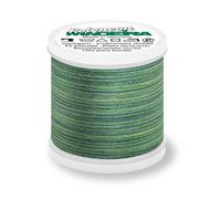 Madeira Polyneon 40 Stickgarn Multicolor 200m Farbe 1509 (1,64 € pro 100 m) Farbe:Farbe 1509