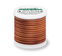 Madeira Polyneon 40 Stickgarn Multicolor 200m Farbe 1510 (1,47 € pro 100 m) Farbe:Farbe 1510