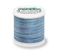 Madeira Polyneon 40 Stickgarn Multicolor 200m Farbe 1601 (1,47 € pro 100 m) Farbe:Farbe 1601