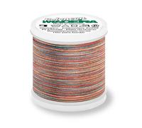 Madeira Polyneon 40 Stickgarn Multicolor 200m Farbe 1604 (1,47 € pro 100 m) Farbe:Farbe 1604
