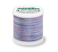 Madeira Polyneon 40 Stickgarn Multicolor 200m Farbe 1606