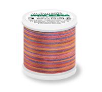 Madeira Polyneon 40 Stickgarn Multicolor 200m Farbe 1609 (1,36 € pro 100 m)