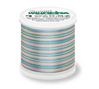 Madeira Rayon 40 Stickgarn 200m Farbe 2103