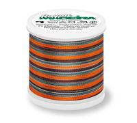 Madeira Rayon 40 Stickgarn 200m Farbe 2144