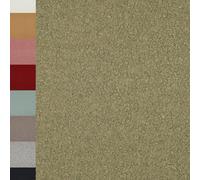 MAGAM-Stoffe Ruby Teddy super weicher Teddyfell Boucle Meterware ab 50cm (08. Kreide grün)