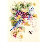 Magic Needle 130-022 ZW Blauhäher und Weintraube Kreuzstichset mit Zählmuster Zweigart Edition, Baumwolle, multifarbig, 25x35cm