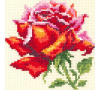 Magic Needle 150-003 ZW Rote Rose Kreuzstichset mit Zählmuster Zweigart Edition, Baumwolle, multifarbig, 11x11cm